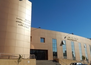 ثقافة الٱقصر يقيم ورشة فنون تشكيلية لذوي الإحتياجات الخاصة..غدا