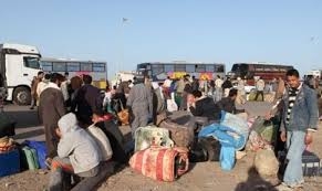 قوى القليوبية توفر فرص عمل للعائدين من ليبيا