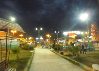 تركيب كشافات لأعمدة الكهرباء بحدائق حى العرب ببورسعيد 