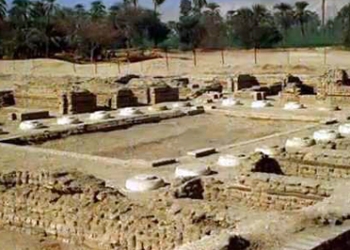 محافظ بورسعيد يتفقد الضواحى والزهور 