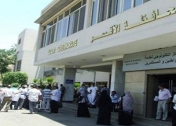 مباحث القرنة تضبط عامل بحوزته بندقية آلية وطلقات نارية