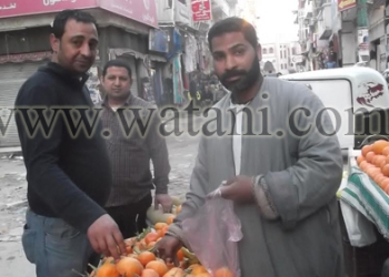 بالفيديو والصور .. “فتح الله” حديث الساعة بالبحيرة