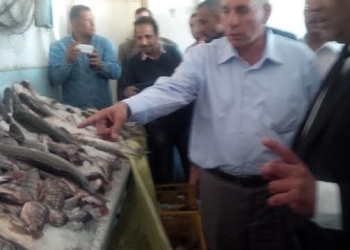 ‏وزير الزراعة يتفقد مشروعين للإنتاج السمكي بالاسكندرية