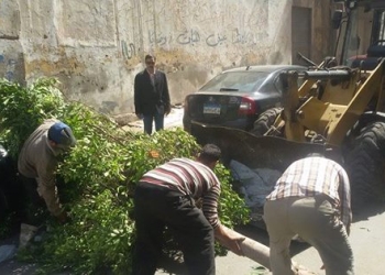 ” الوروارى ” يتابع رفع مخلفات الأشجار ببنك ناصر 
