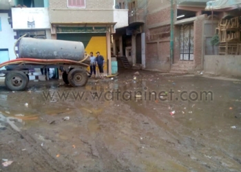بالصور …. قرية شطانوف بالمنوفية تغرق في مياه الصرف الصحي 