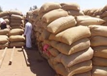 التموين : الإحتياطي من القمح يكفى حتى 20 نوفمبر