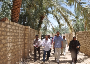 22,7 مليون جنيه لرصف طرق داخلية وفرعية بالوادى الجديد