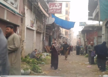 احتلال الباعة الجائلون طريق الخيري بدمنهور
