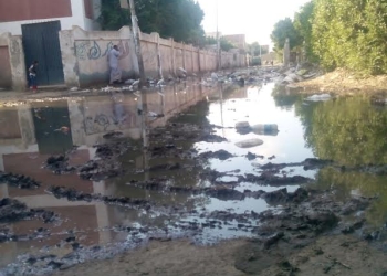 بالصور.. قرية ” شطانوف ” تغرق فى مياه الصرف الصحى