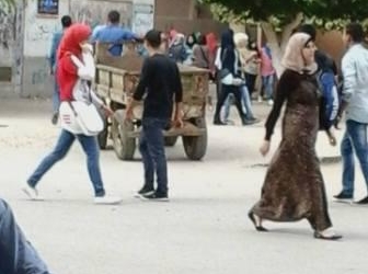 الفيس بوك يسخر من حمار جامعة بنها