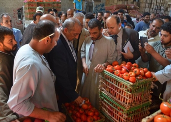 أسعار الخضروات والفاكهة بكفر الشيخ.. تكوى جيوب الفقراء 
