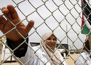 برلمانيون أوروبيون يدعون لإنهاء حصار غزة