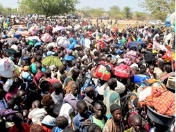 14 ألف نازح من جنوب السودان خلال أسبوعين