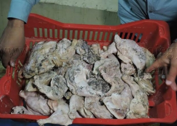 ضبط مجزر للدجاج بوادى النطرون بداخلة أجزاء للدجاج غير صالحة 