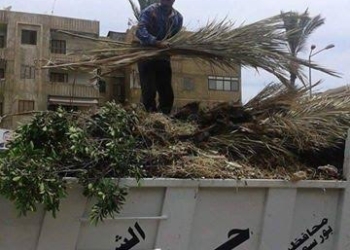 الاحد… دورتين تدريبتين بمركز سقارة 
