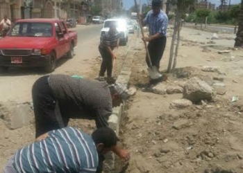 صيانة ورصف الجزيرة الوسطي بطريق الترعة الشرقاوية 