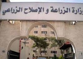 بالأرقام أرتفاع في الصادرات المصرية من البطاطس والموالح والعنب