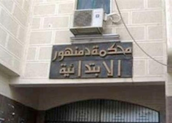لاشين : 243 مرشحاً يخوضوا الانتخابات البرلمانية بالبحيرة
