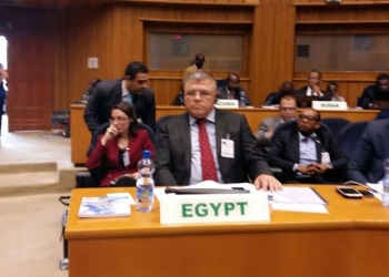 “نجم” : مطلوب التصدي الدولى للجريمة والإرهاب الإلكترونى