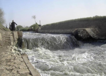  أسباب نفوق 200 مليون طن أسماك بالمنوفية