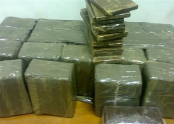 ضبط ثلاثة أشخاص بحوزتهم 230 طربة حشيش  بالإسكندرية 