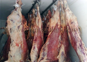 طرح لحوم سودانية بالوحدات المحلية بالمنيا
