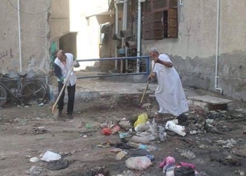 “نصر الدين ” يشيد بمبادرة بورسعيد نظيفة 