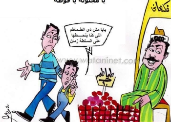 يا مجنونة يا قوطة