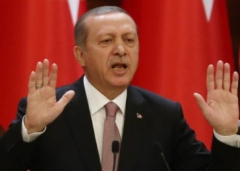 اردوغان: تركيا لن تعتذر عن إسقاط المقاتلة الروسية 