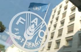 الفاو تدعو لوضع نهج عالمي للقضاء على الجوع ومعالجة التغير المناخي
