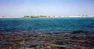 تسرب بقعة سولار بنهر النيل بدشنا 