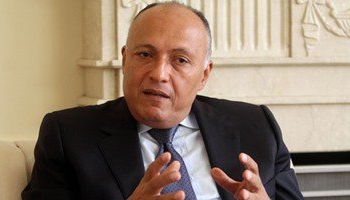 سامح شكرى يدين التدخل التركى فى العراق