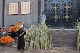 شوية قلقاس وعودين قصب … أحلى عيد غطاس في قنا