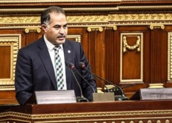 وهدان” البرلمان يحمل أحلام الشعب المصري”