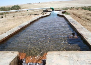 تشغيل 22 بئر زراعى بالطاقة الشمسية بالوادى الجديد