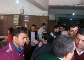 80 طبيبا بيطريا ببنى سويف يطالبون بالتثبيت 