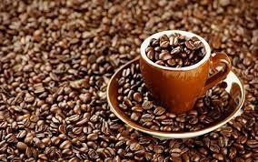 ارتفاع اسعار سوق الكيف الحلال