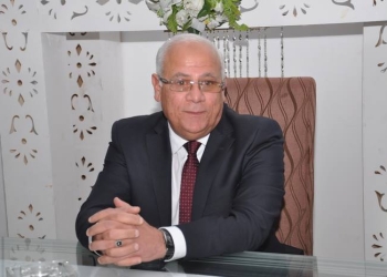المجلس التنفيذي يوافق علي مشروعات لتنمية بورسعيد 