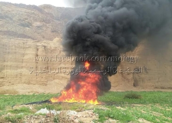   إبادة 4 فدان من الأفيون والبانجو 
