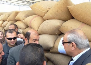 خالد حنفي: إستلام 10 ألاف طن قمح محلي حتي الآن