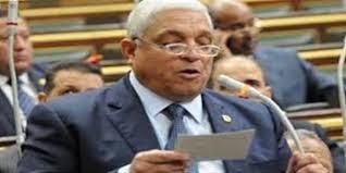 نائب برلماني يطالب بسرعة تشكيل وفود لزيارة البرلمانات العربية