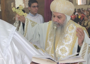 الأنبا أغاثون يحتفل بـ ” أحد الشعانين ” بكنيسة المطرانية   