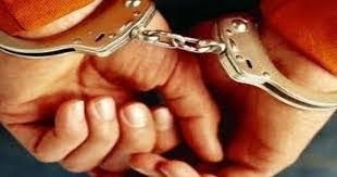 القبض على تشكيل عصابي لسرقة المواطنين بالجيزة 