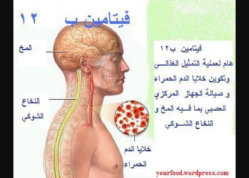 تعرف علي إسباب نقص فيتامين ب 12 