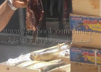 ضبط مالك محل غير مرخص لتجارة الأسماك المدخنة بالعمرانية