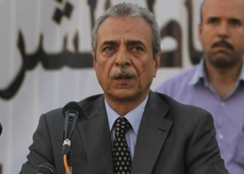 نائب برلماني : تجمع نواب الصعيد فى لجنة فكرة جيدة 