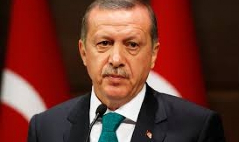 اردوغان يطلب اللجوء لألمانيا