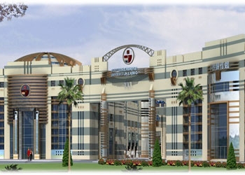 إنشاء جامعة صينية بمصر 