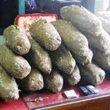مباحث المخدرات تنجح في ضبط 8500 جم  بانجو   