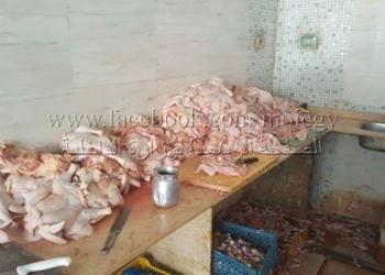 ضبط مجزر دواجن غير مرخص بالاسكندرية 